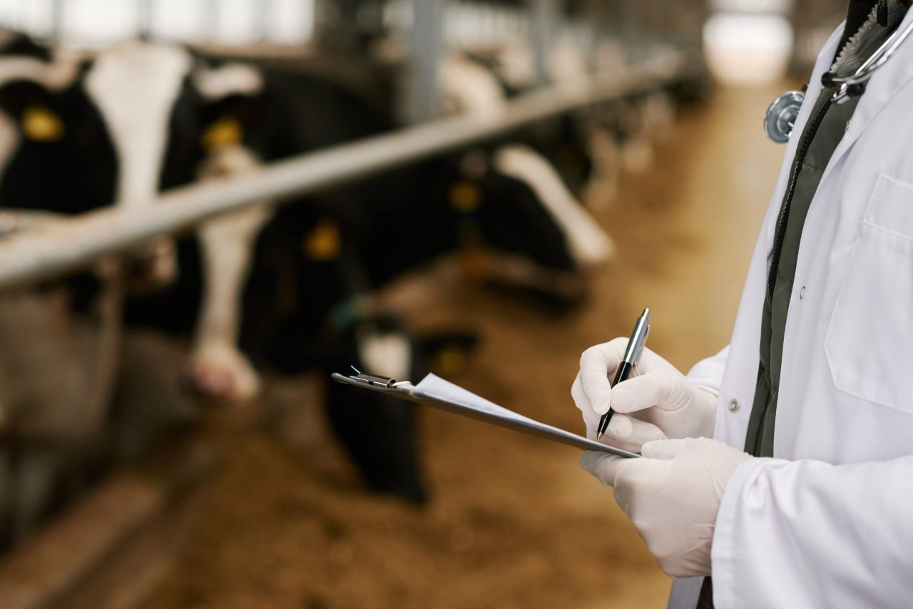 Govt has ‘no role’ in regulating private vet practice salary scales – Heydon