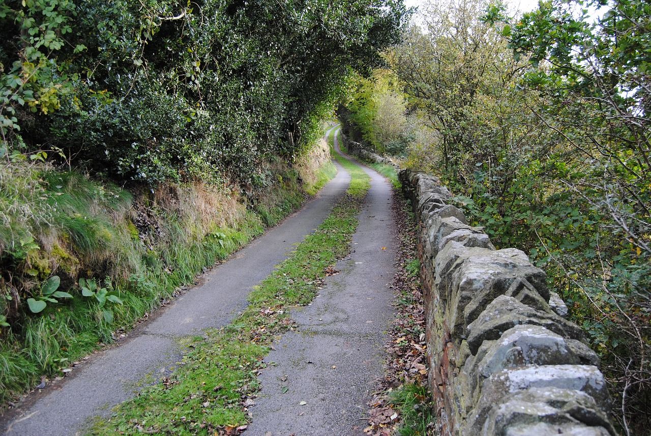 TD warns of 'stench' of septic tanks down country lanes