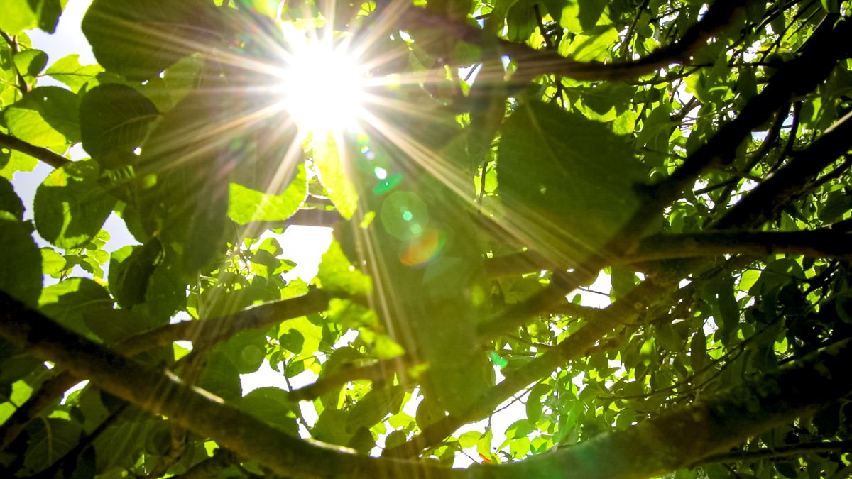 Met Éireann: Hot weather to last until middle of next week