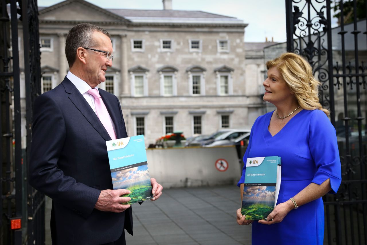 Schemes, supports and diesel exemption dominate IFA's pre-budget submission