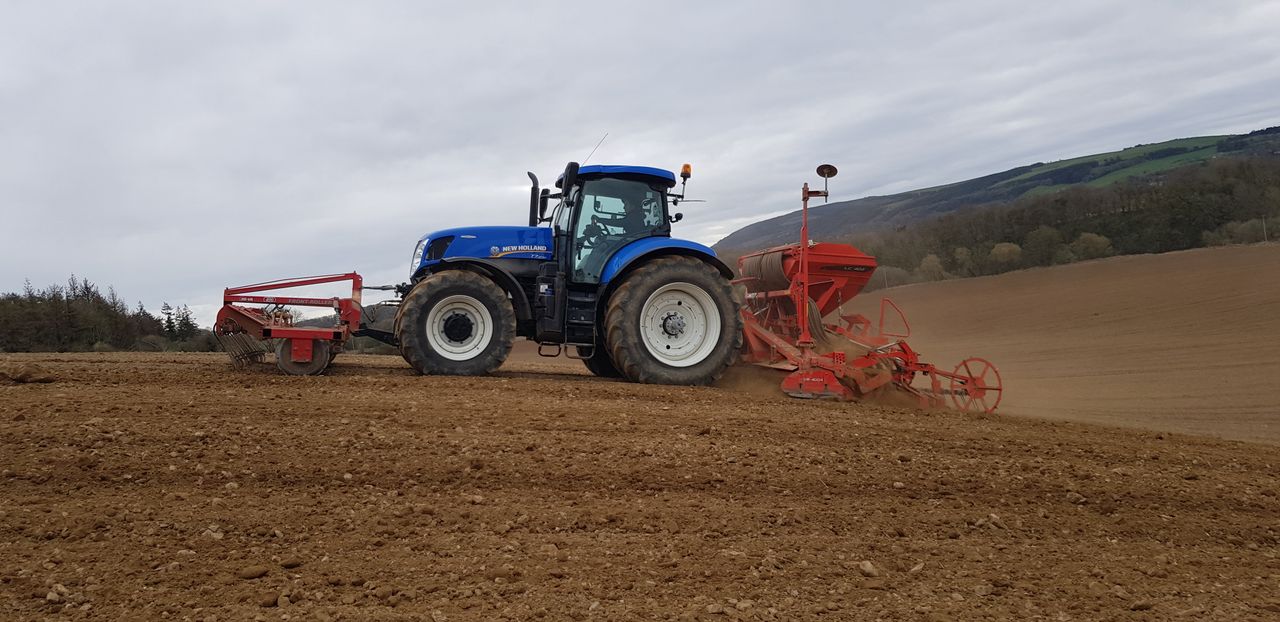 Nitrates Action Programme and its drivers for the tillage sector
