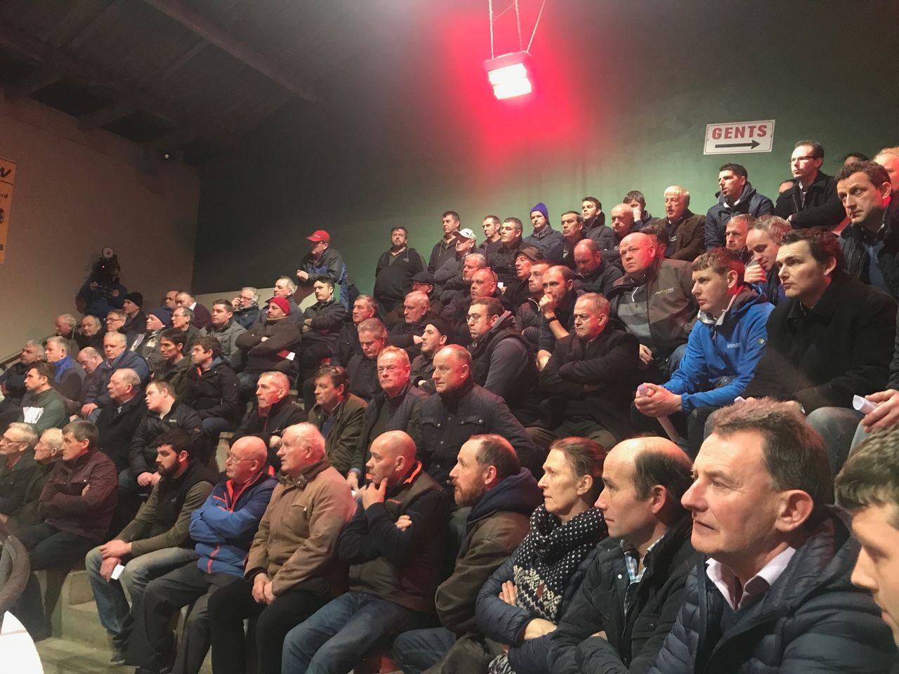 Beef Plan circulates message 'urging' members who to vote for in EU elections