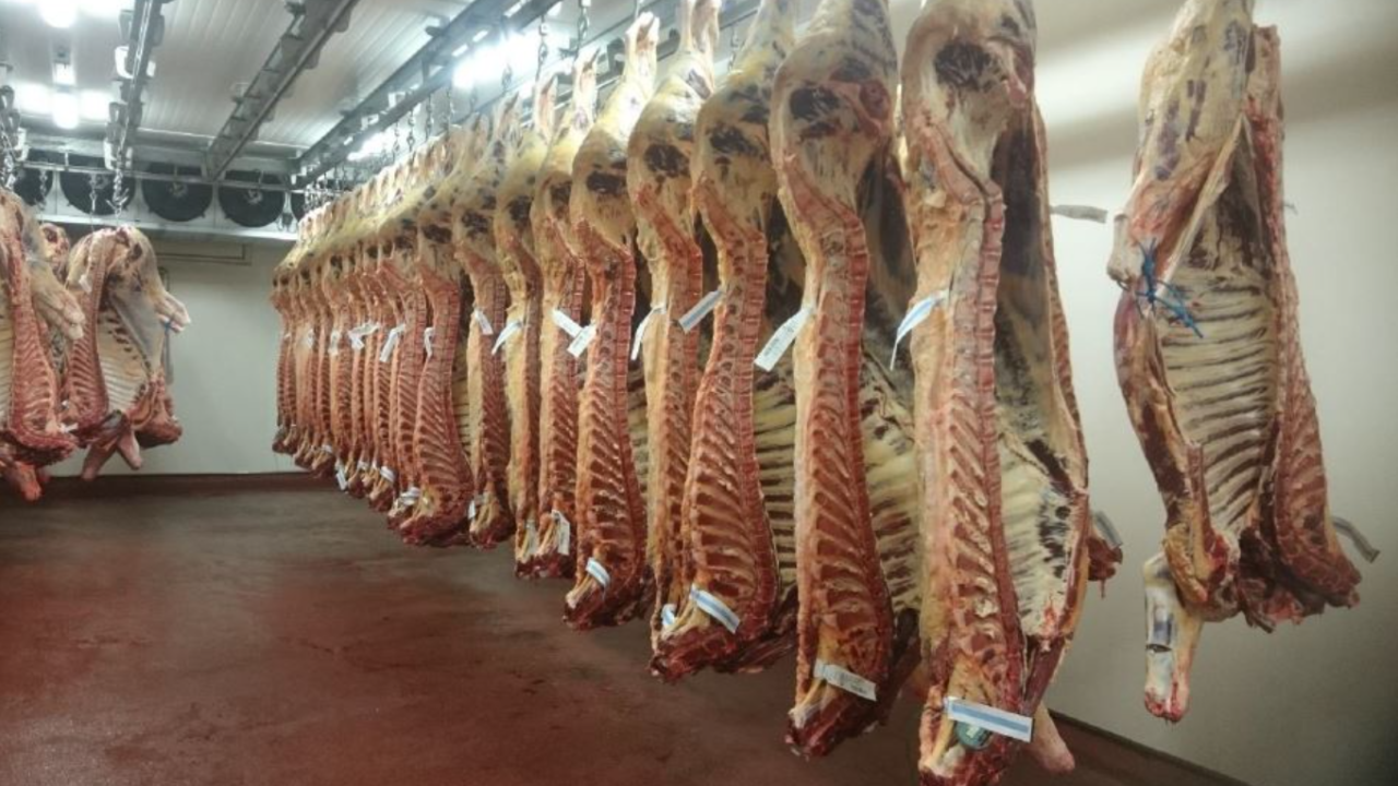 Beef kill: Supply hits 33,000 head for first time since April