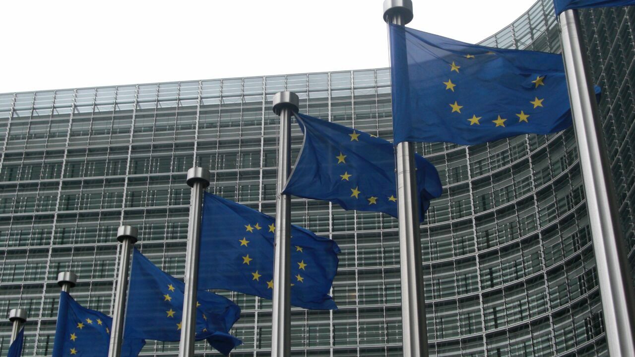 EU auditors warn 'complex' CAP proposals could delay funding