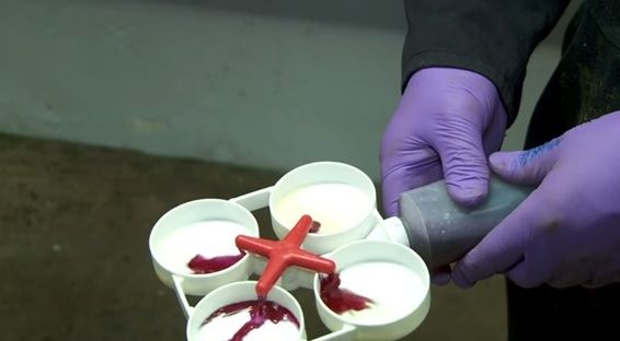 Over 10% of bulk tank milk samples contaminated on farms