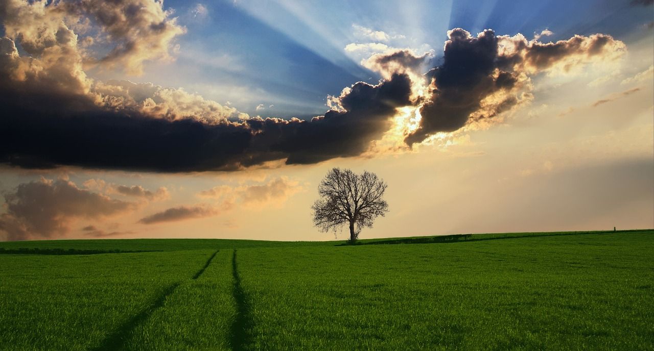 Farmers urged to join EU group to discuss mental health