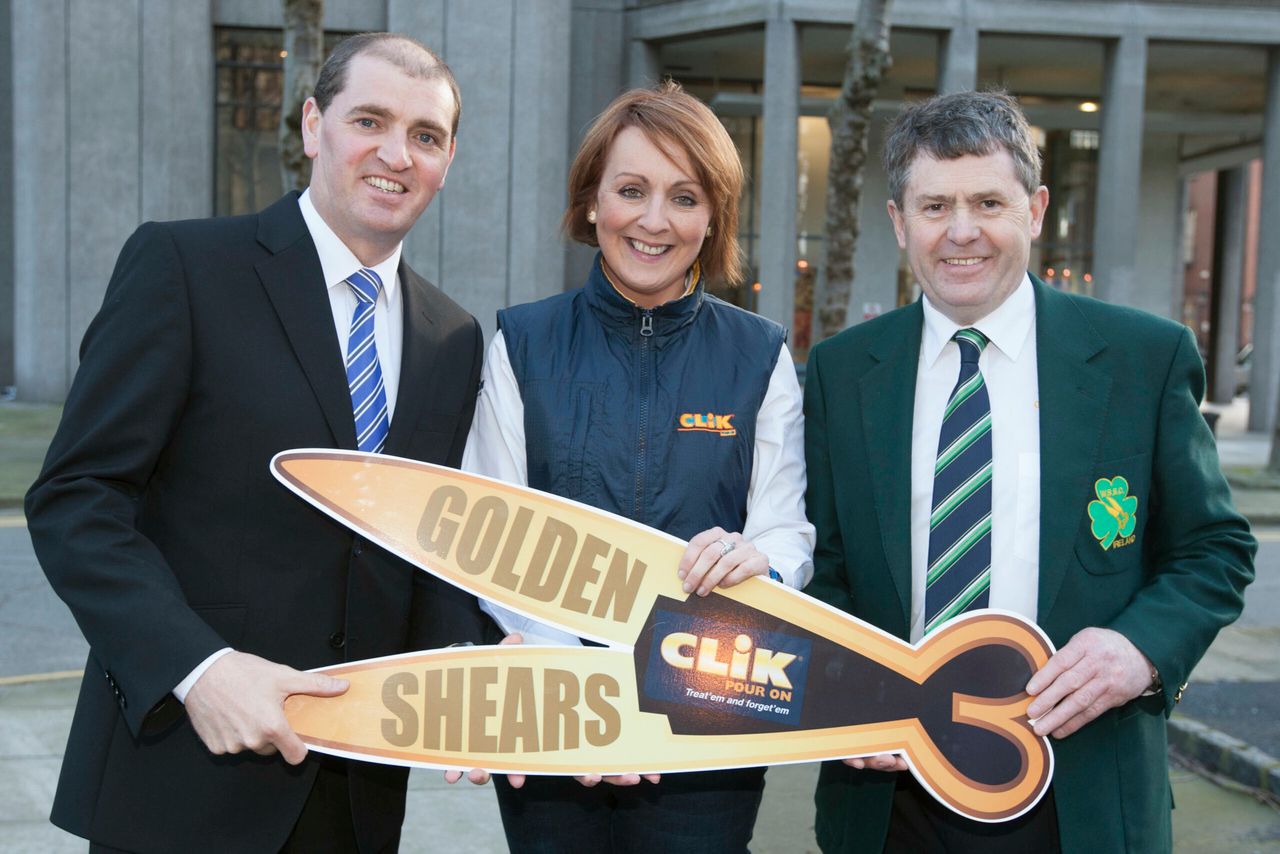 Golden Shears competitions underway