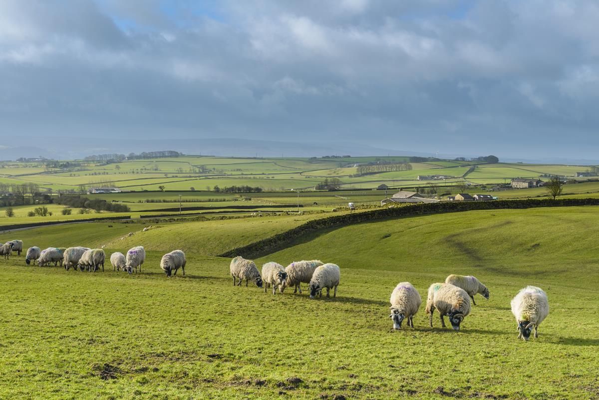 IFA and Department set for conflict over 'disadvantage' area review