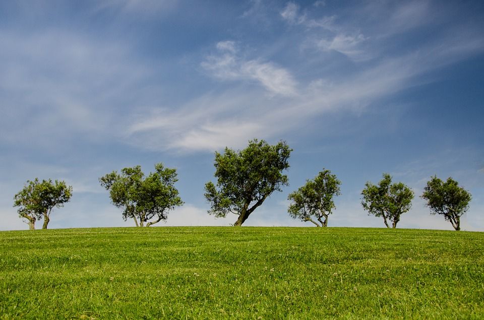Report: Irish people have high awareness of climate change