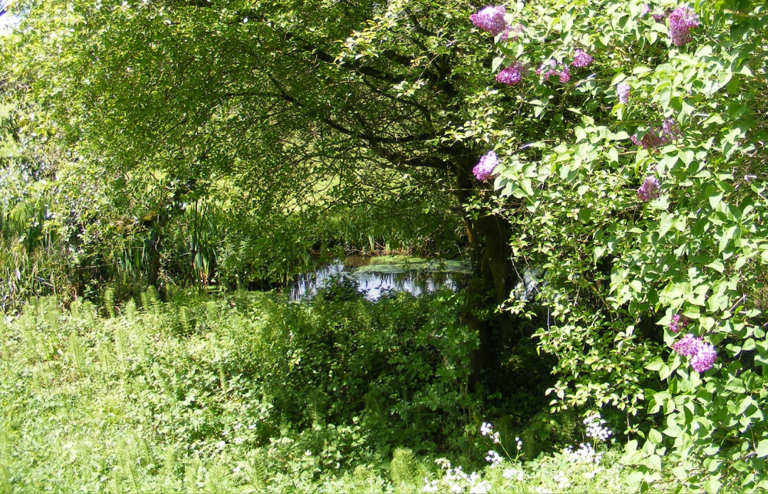 Farming for Nature network welcomes new ambassador