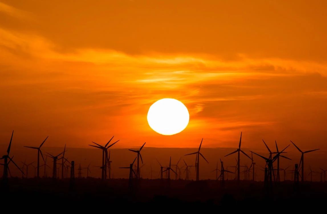 WMO: Food security warning over soaring temperatures