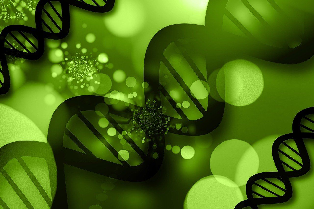 MEPs back new 'genomic' rules for plants that could deliver higher yields