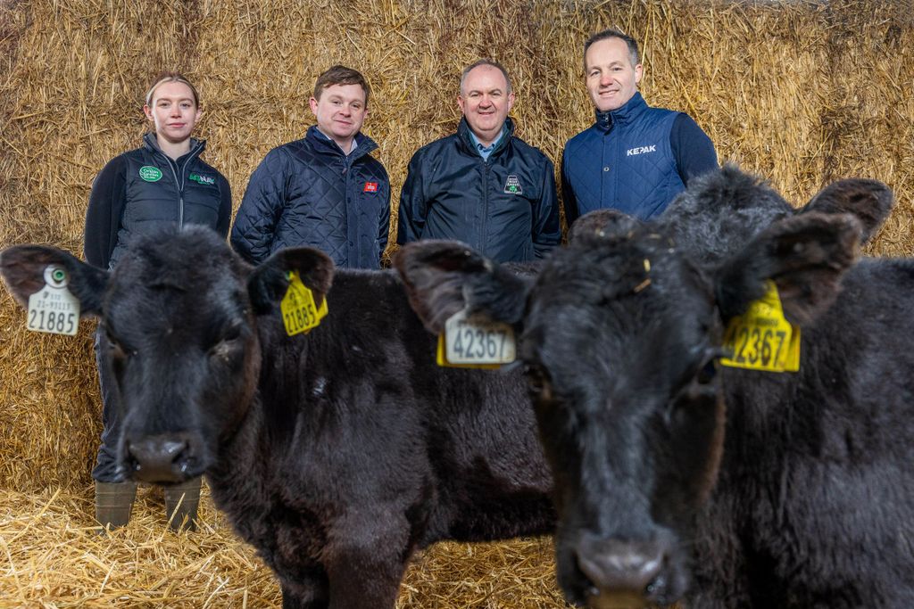 L-r: Aoife McCormack, sustainability data specialist at Bord Bia; Stephen Connolly, agri sustainability manager, ABP; Charles Smith, general manager, Certified Irish Angus; Mick O'Dowd, head of agribusiness, Kepak who today announced details of a new and enhanced bonus structure from Certified Irish Angus, in partnership with beef processors ABP and Kepak