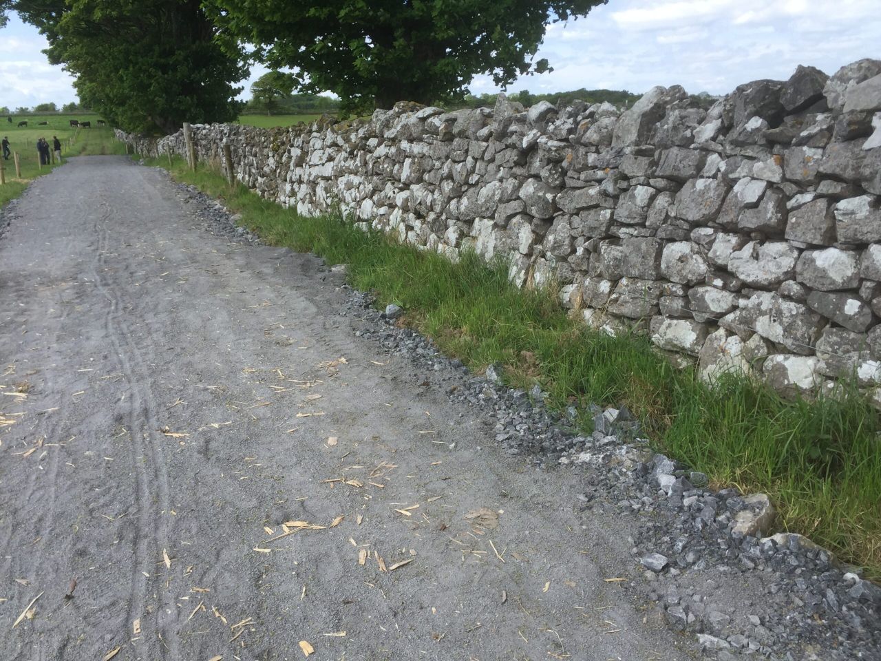 Farmers set to benefit from €10 million funding boost for rural roads