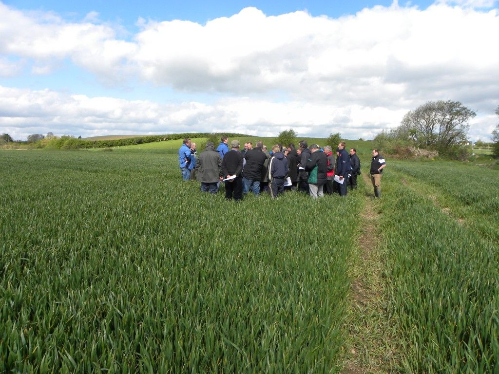 Latest research findings to be presented at crops open day