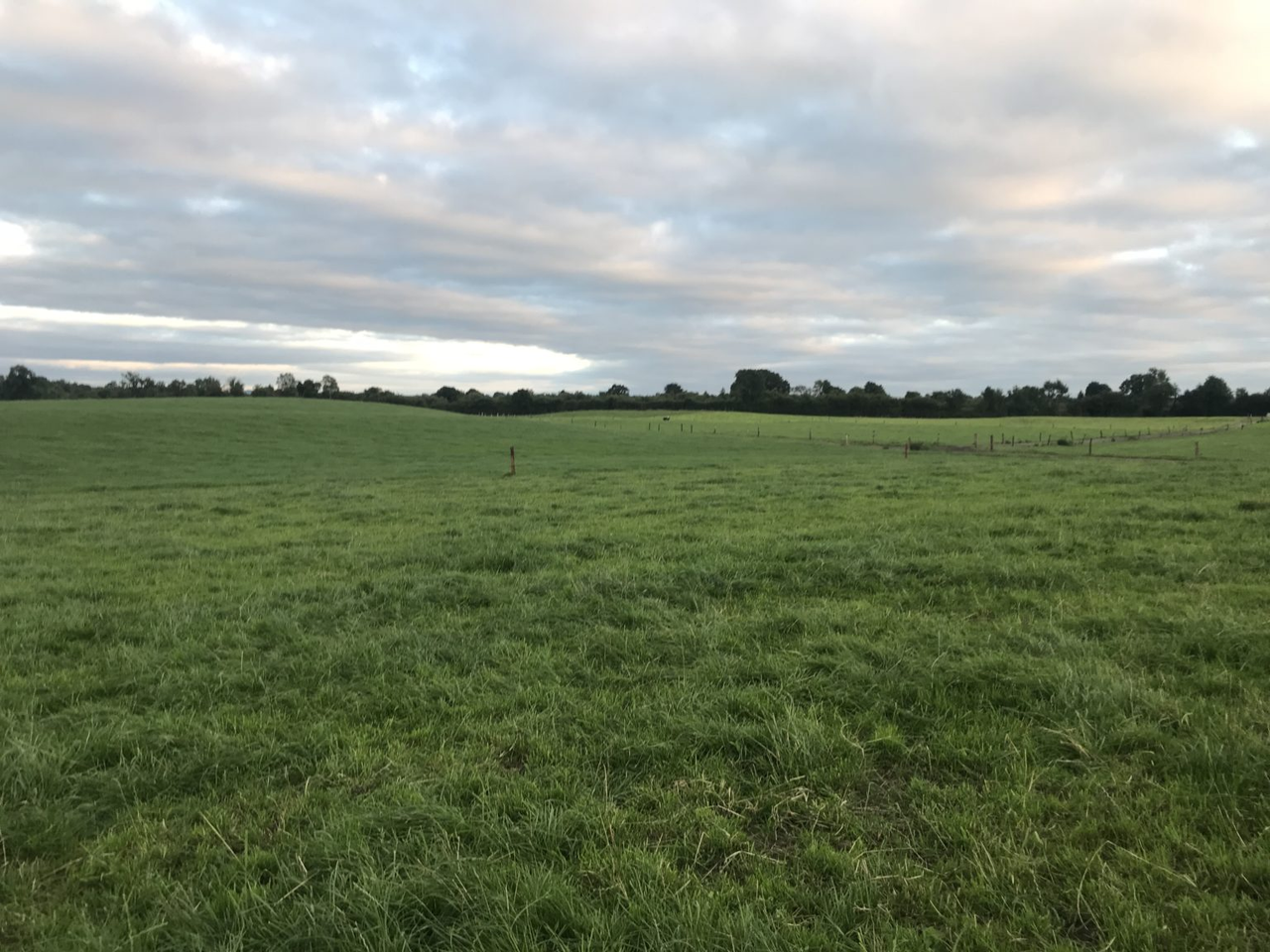 Commission adopts new EU legislation on ReNure fertilisers