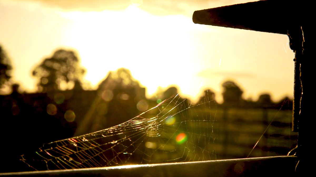 Met Éireann: Hot days and warm nights this weekend