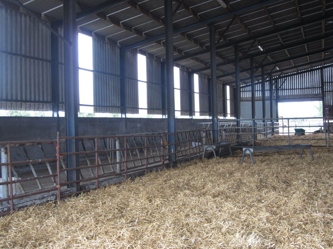 3 alternative options to straw for livestock bedding this winter