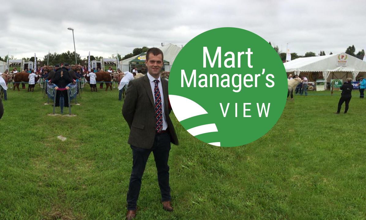 'The trade was getting hotter this week'- Mart manager's view