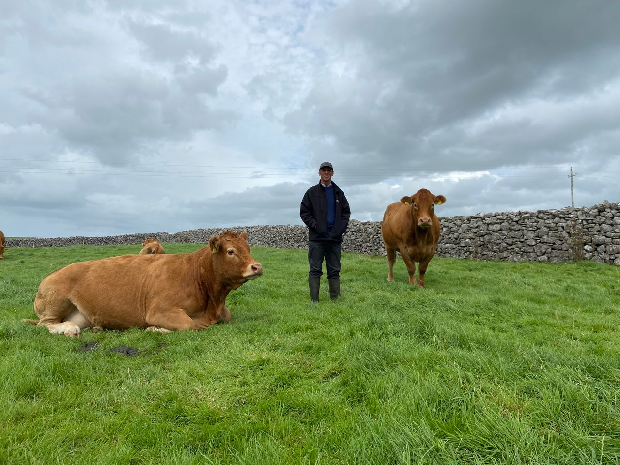'I can look at any breed and I appreciate every breed; the best of any breed I will admire'