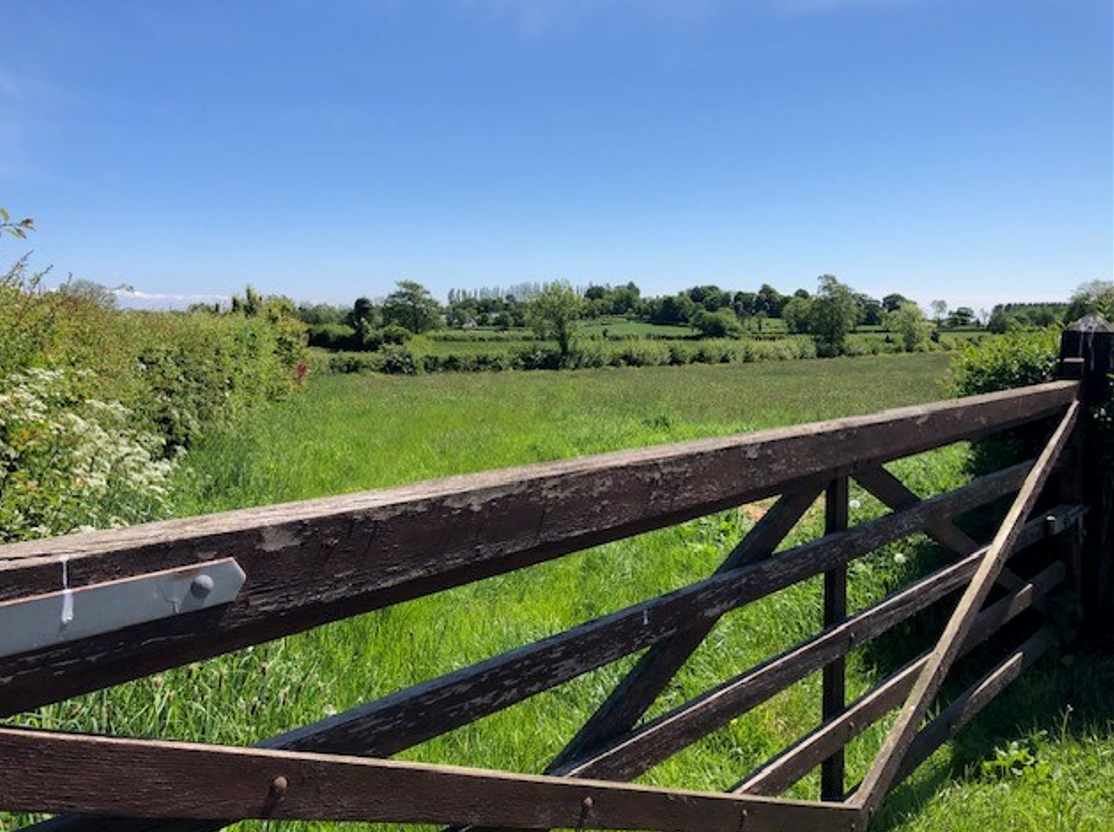 New strategy outlines 'pathway' to reducing agri-GHG emissions