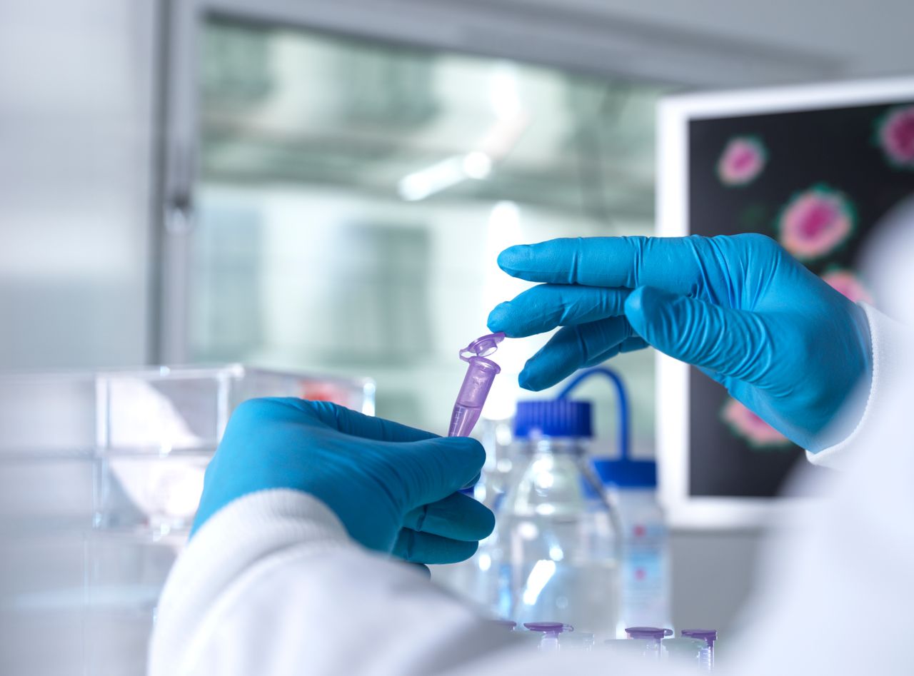 Forensic animal pathology service at Sligo RVL to be phased in