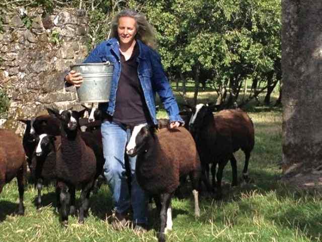 This week's farmer of the tweet Zwartbles Ireland
