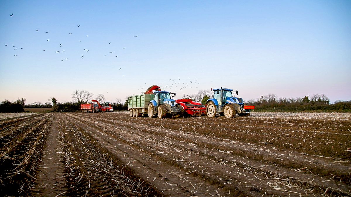 Min-till tops the TAMS tillage equipment wish list