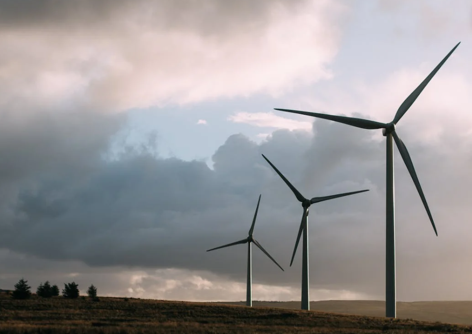 An Bord Pleanála approves wind farm despite inspector's report