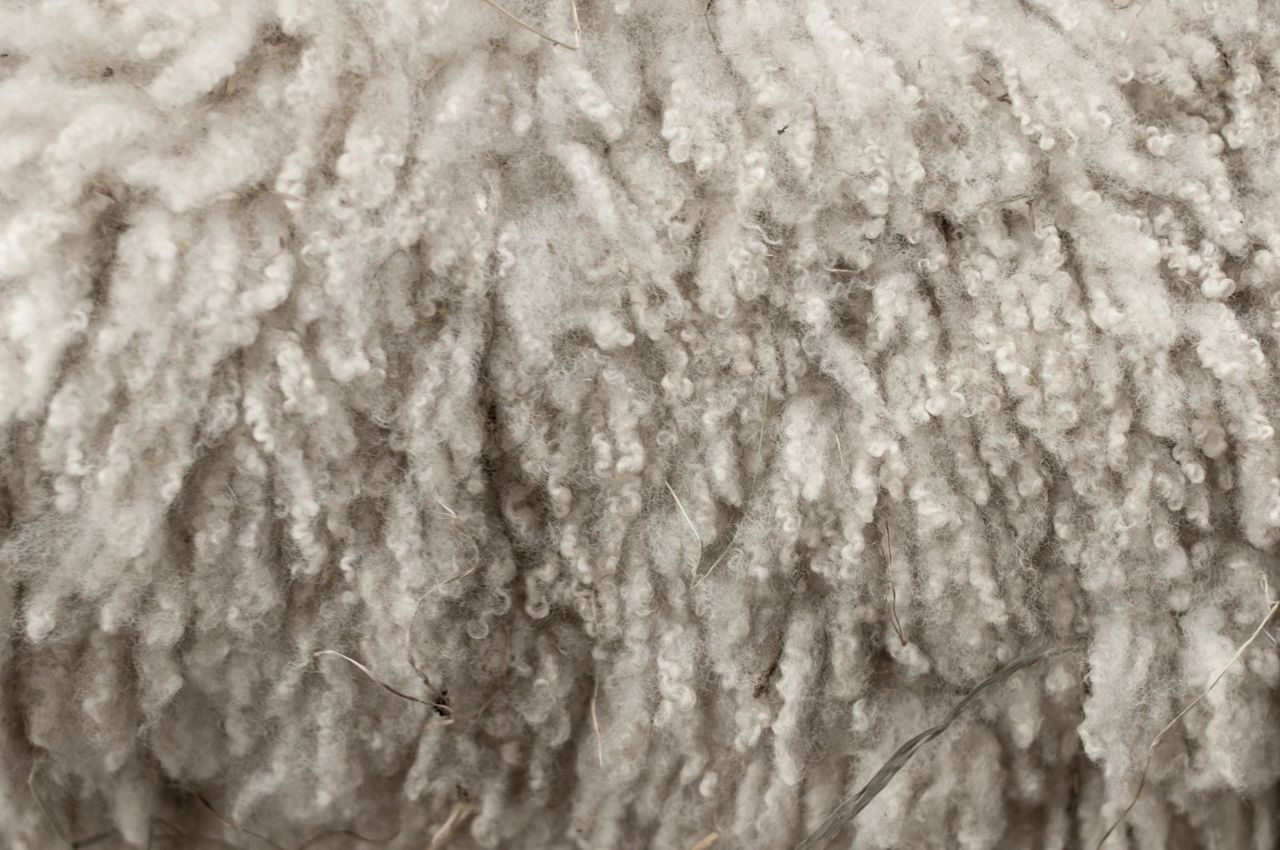 Irish Grown Wool Council appoints new chair