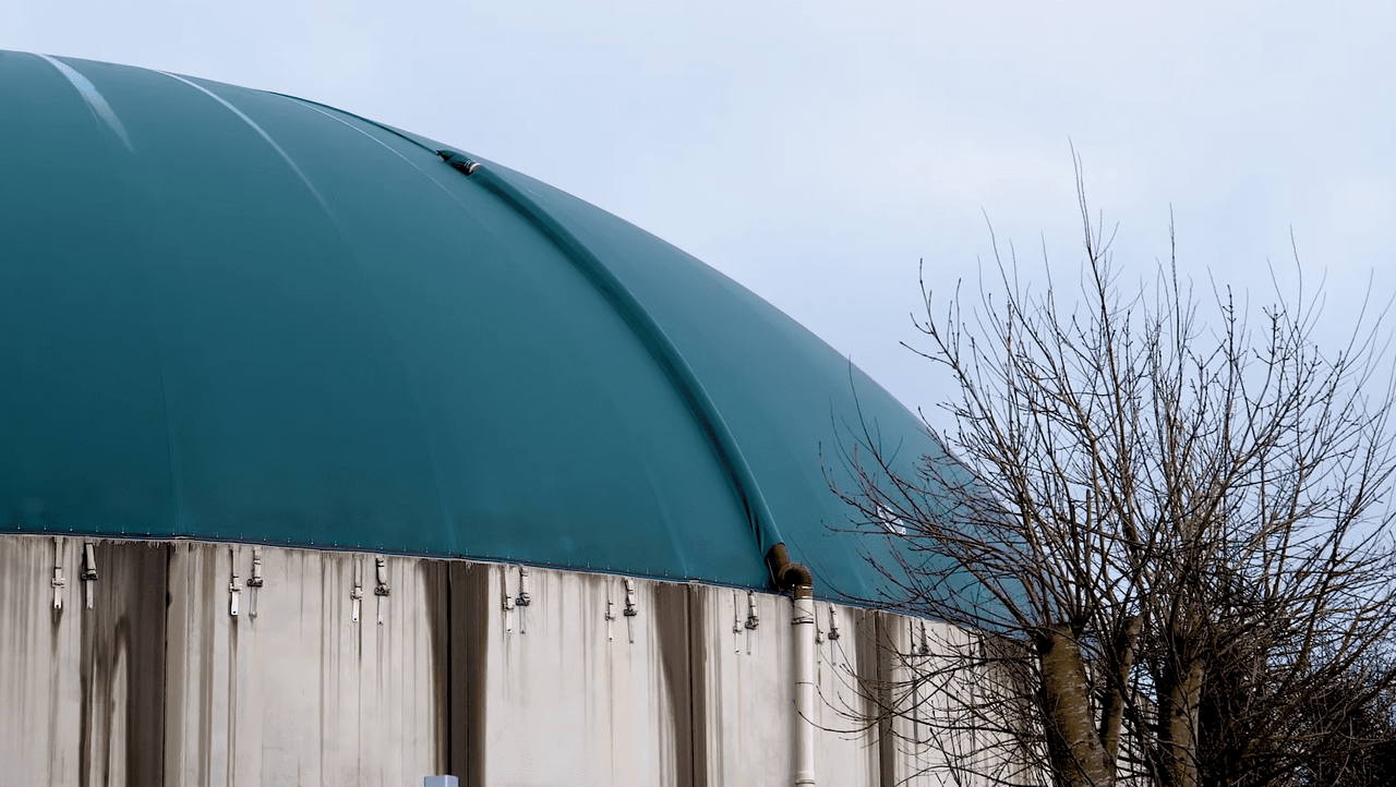 Technological infrastructure vital for bioenergy project in midlands - TD