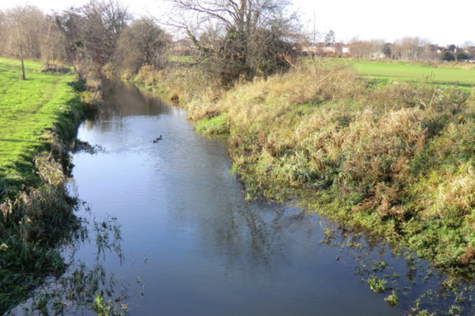 Nitrates derogation: Water quality groups welcome impending cut