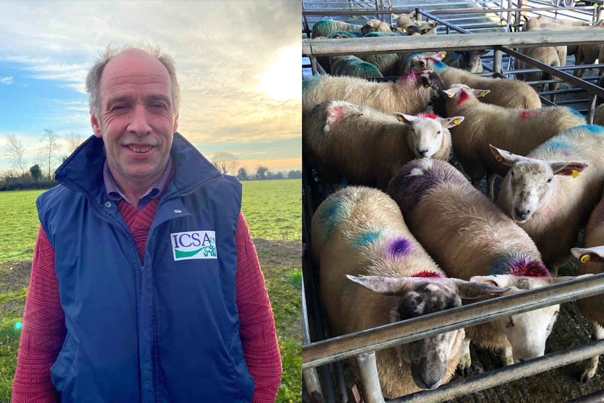 'It's been a good year for sheep farmers but not for all of them'