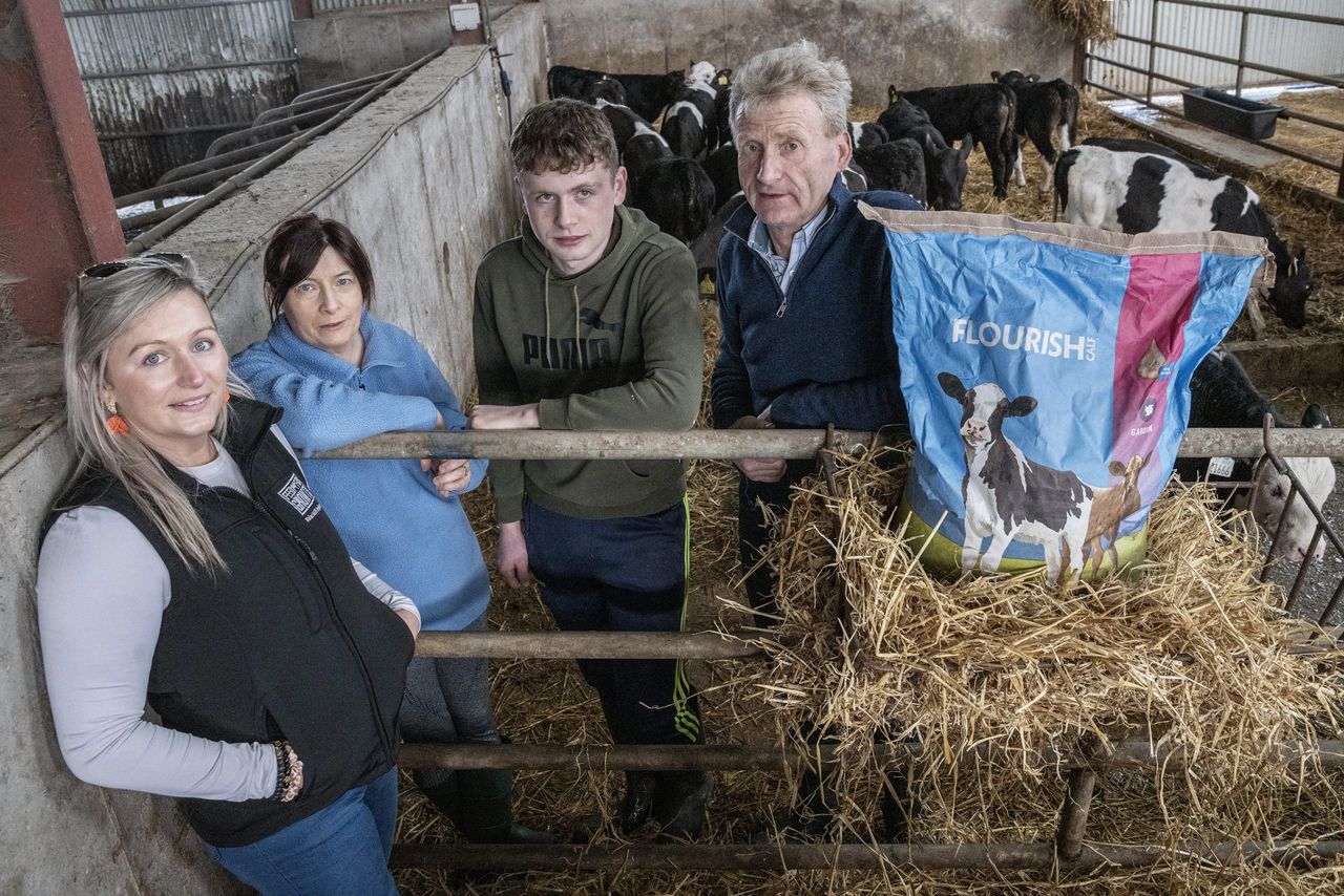 How this Limerick family is building their future herd