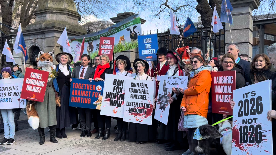 Watch: Dáil fox hunting protest draws farmers and rural residents