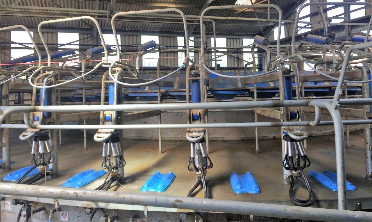 Parlour choices: Dairy farmer shares experiences of rotary and herringbone units