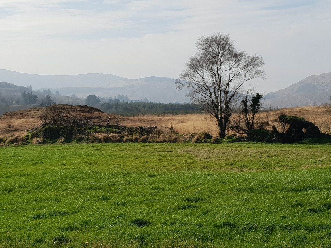 Co. Cork farm with mixed-quality land sees guide price of €2,725/ac