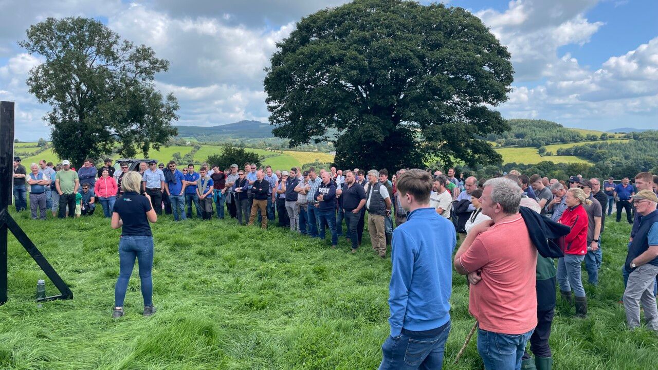 Advantage Beef Programme: 2024 developments in review