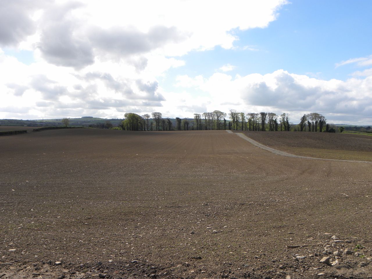 Seed availability forms backdrop to tillage planning
