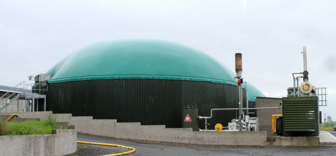 There is absolutely no need for a new sugar plant in Carlow