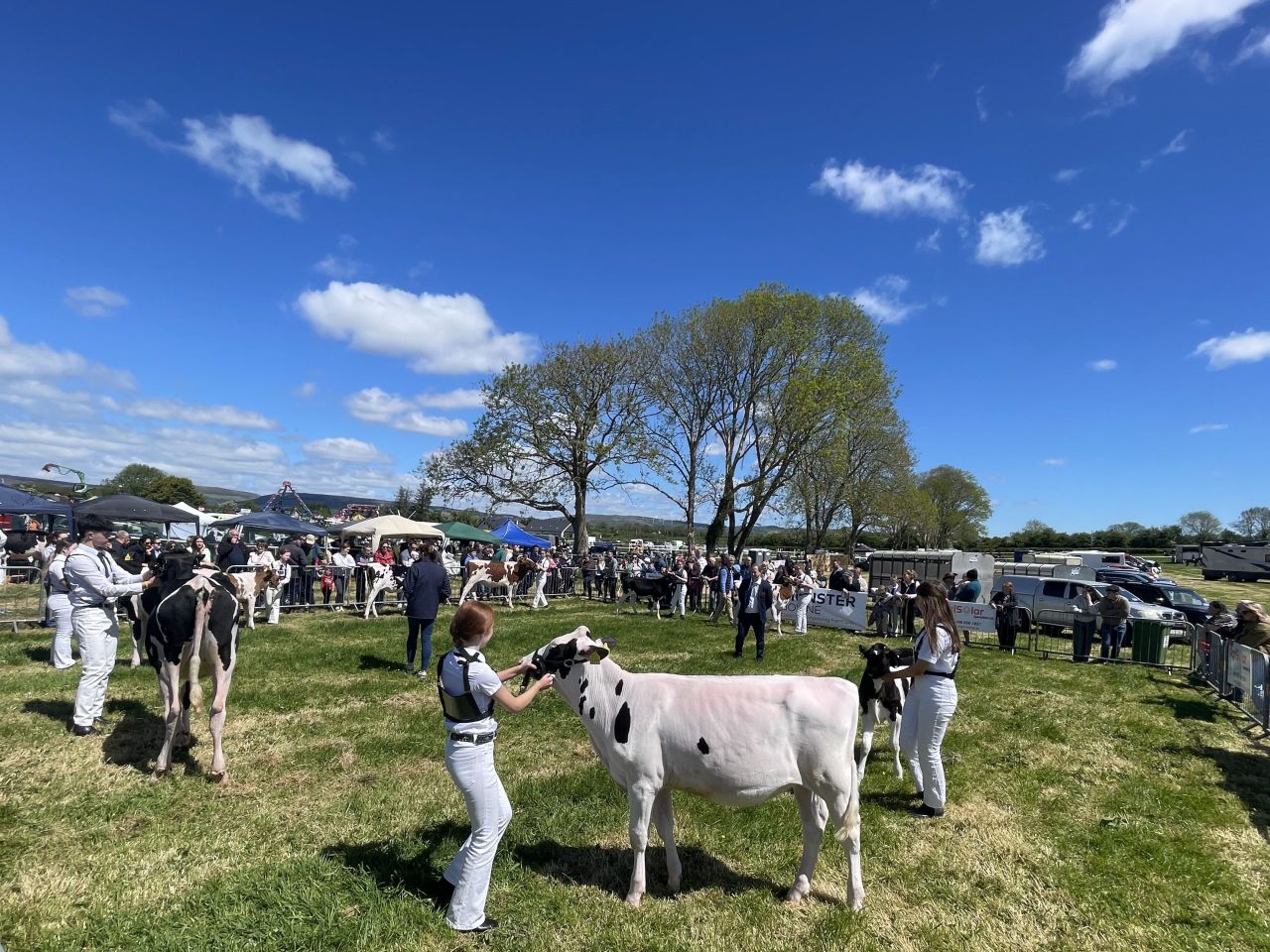 Gallery: Blue skies help boost numbers at Kingdom County Show