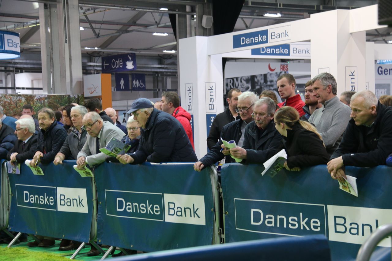 Winter Fair: Crowds flock to Northern Ireland's biggest dairy show