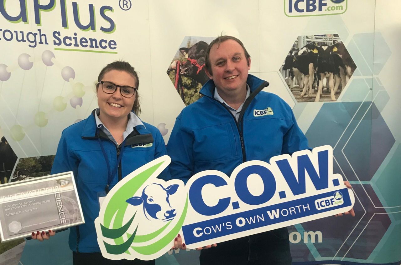Dairy Innovation Awards: C.O.W. scoops silver in Millstreet