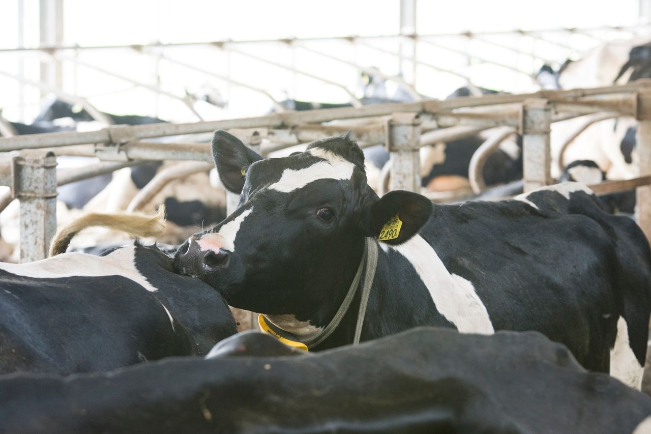 TB eradication: Farmers 'will consider new measures' for progress