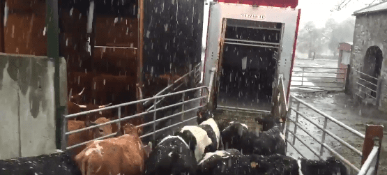 Pics: Snow in parts of the country, as rainfall warning issued for the northwest