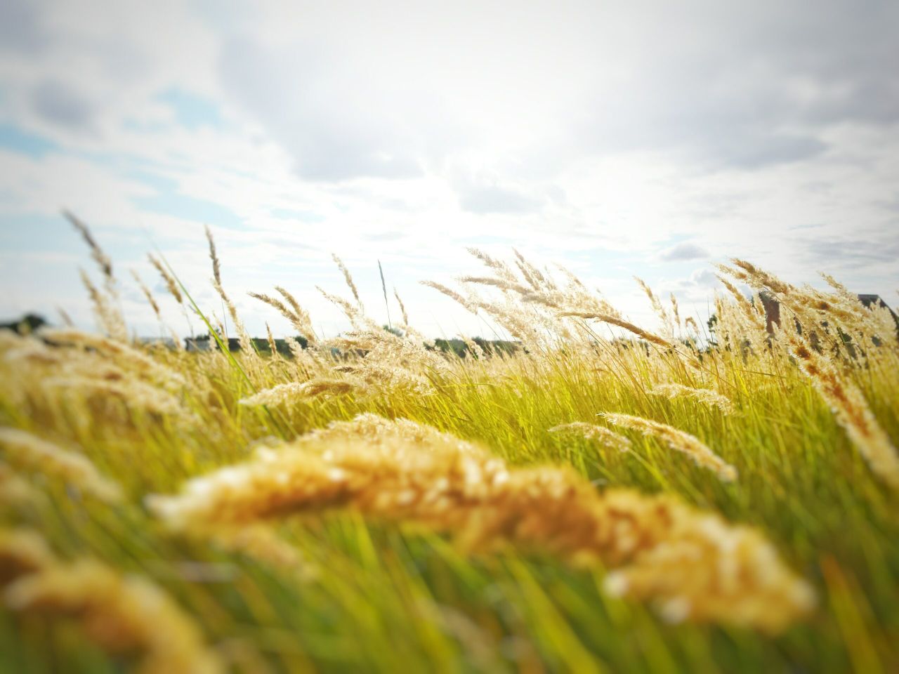 Wind warning issued for 2 more counties