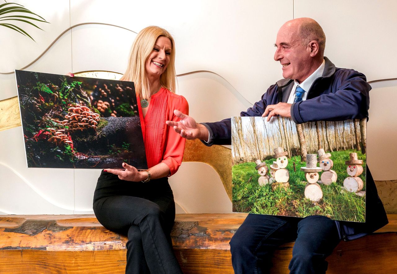 Minister announces winners of forestry photo competition