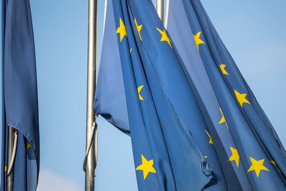 MEPS agree to 'simplify' rules for British goods entering NI