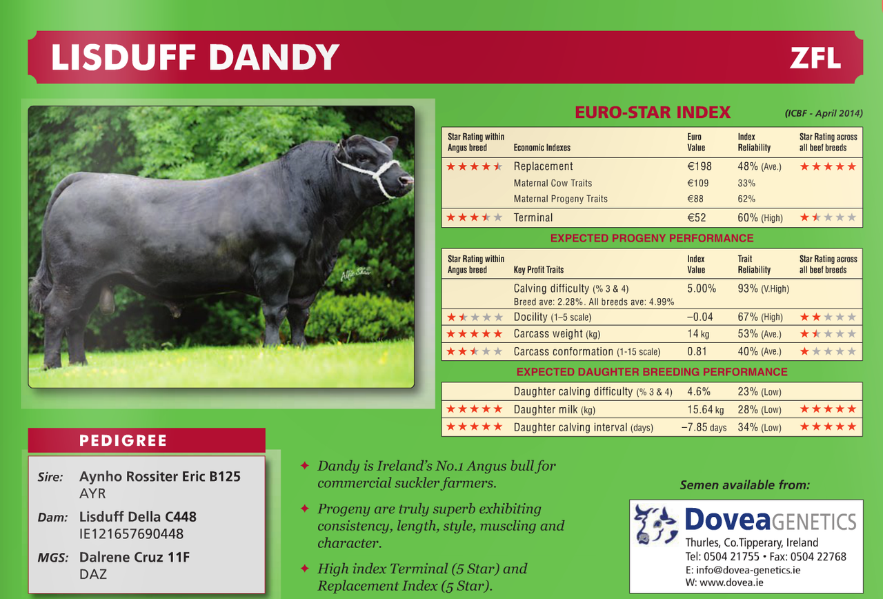AI bull 'Lisduff Dandy' still in service, says Dovea