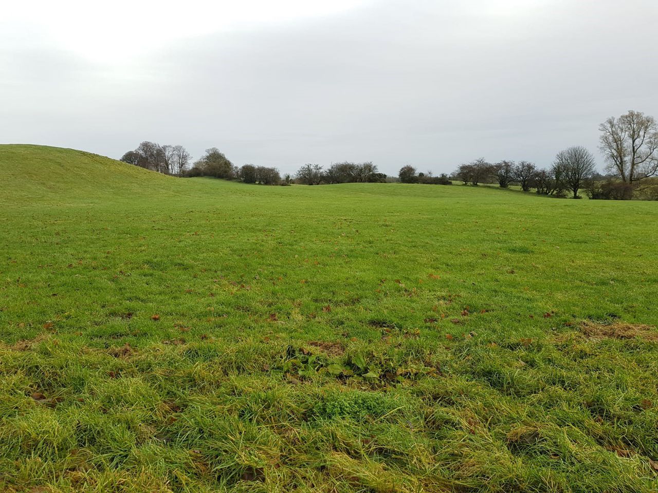 103ac farm for sale with a 'reputation for producing top-quality beef cattle'